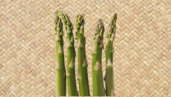 is asparagus a stem or roots