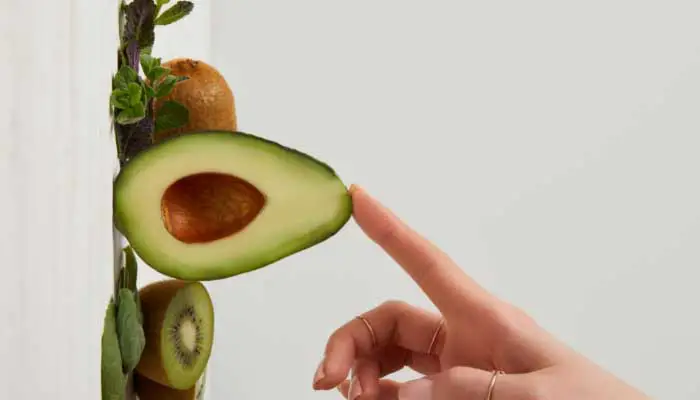 Is an avocado a nut