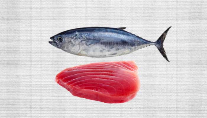 what does tuna taste like