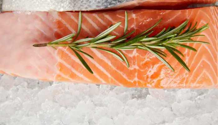 how long can you freeze salmon