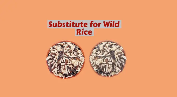 Substitute for Wild Rice