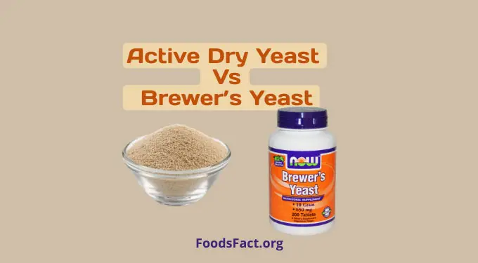 active dry yeast vs brewers yeast