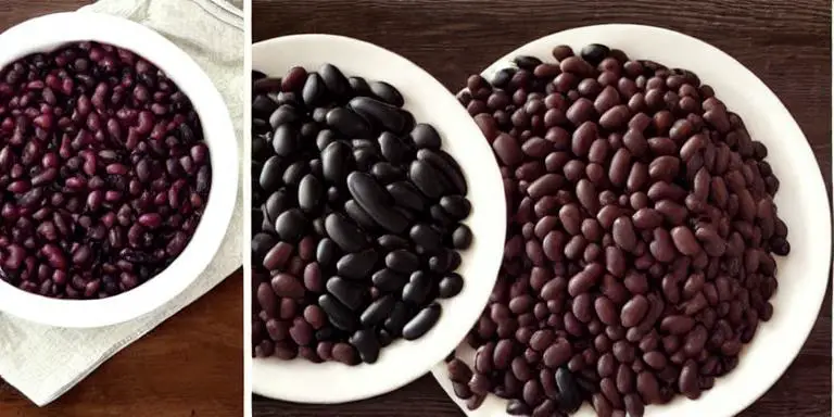 black beans vs kidney beans