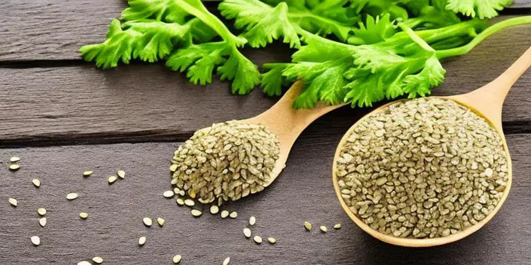 What is celery seed