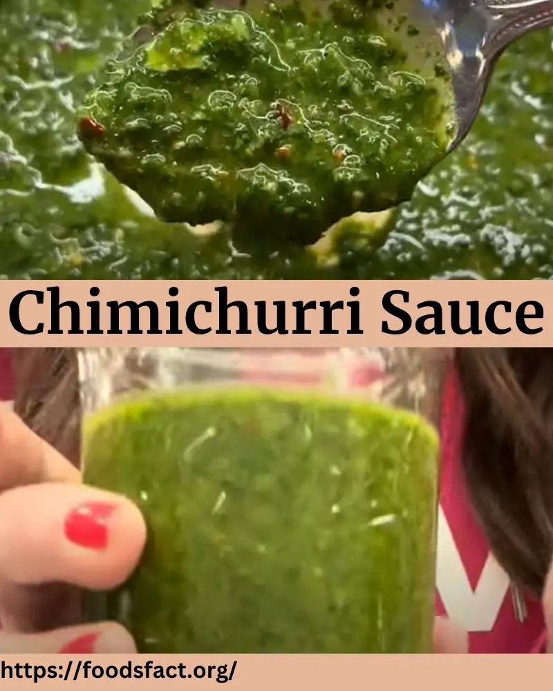 Delicious Pizza Sauce Recipe Using Chimichurri Sauce 1 What Is Chimichurri Sauce